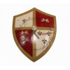 MEDIEVAL ROYAL CRUSADER SHIELD - LION S BANE